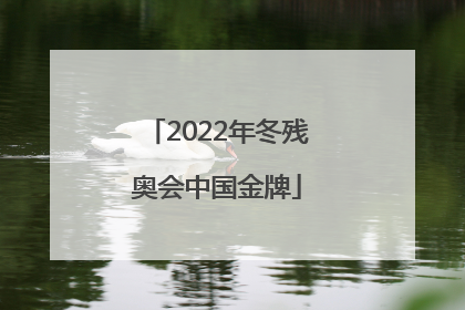 「2022年冬残奥会中国金牌」2022年冬残奥会中国金牌蚂蚁庄园