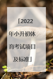 「2022年小升初体育考试项目及标准」2022年郑州小升初体育考试