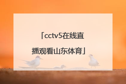 「cctv5在线直播观看山东体育」cctv5体育在线直播观看高清
